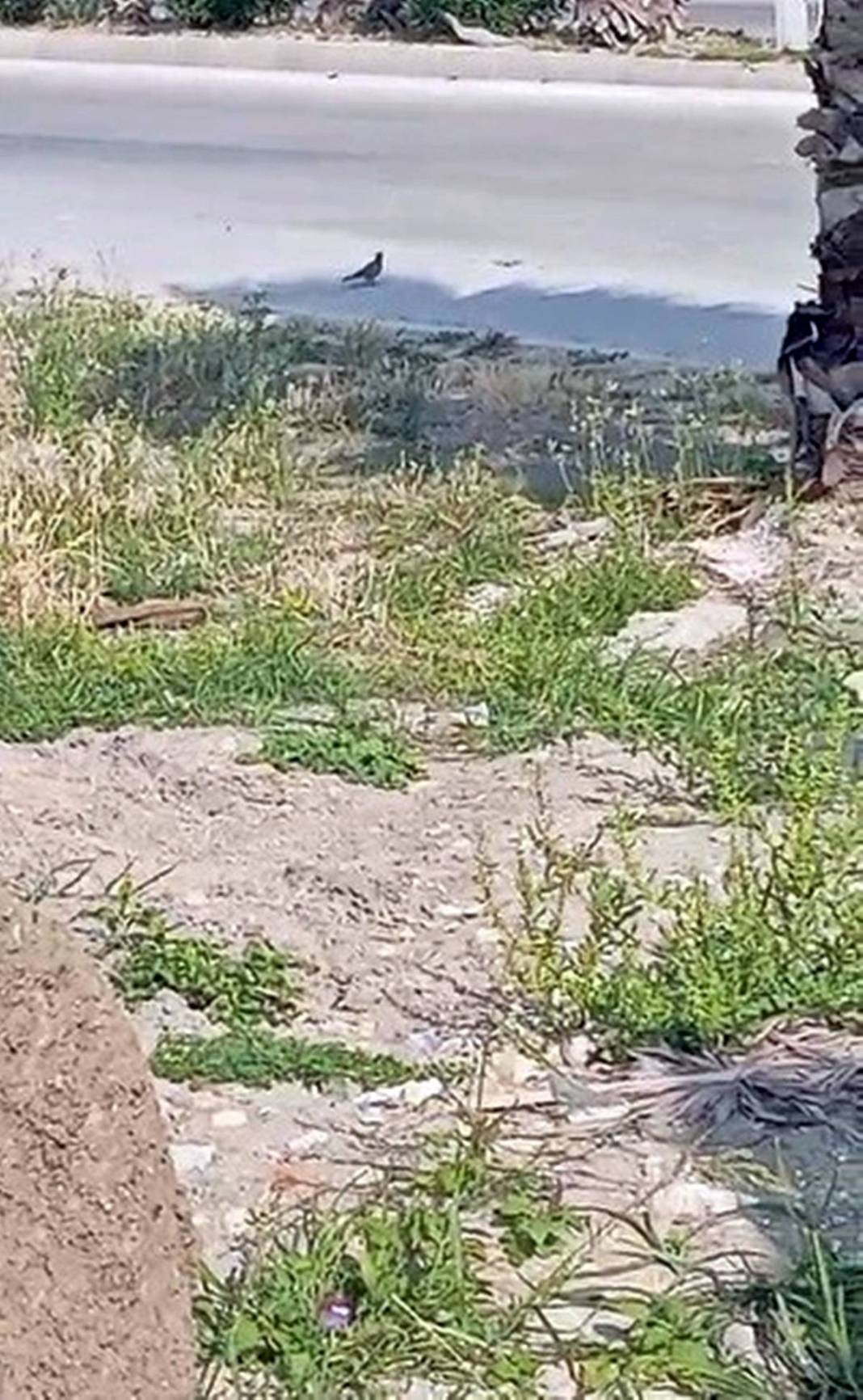 Yuva yıkmadı, takdir topladı: Onlar, Allah'ın misafiri! 200 bin TL'lik fedakarlığı takdir topladı 3